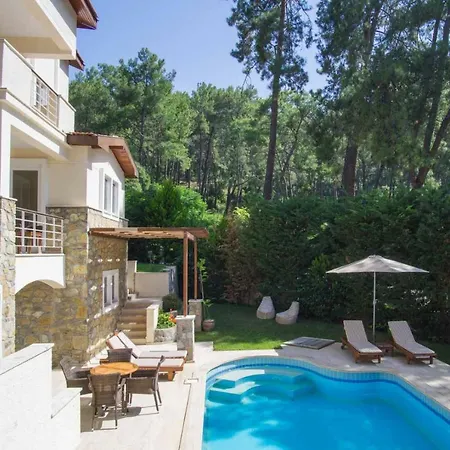 Huge In Red Pine Forest Villa *