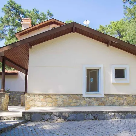 Villa Huge In Red Pine Forest