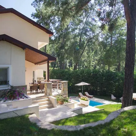 Villa Huge In Red Pine Forest Dalaman