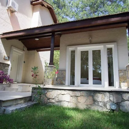 Huge In Red Pine Forest Villa *