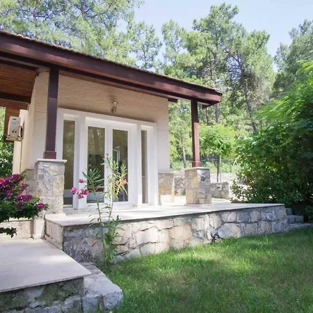 Huge In Red Pine Forest Villa *