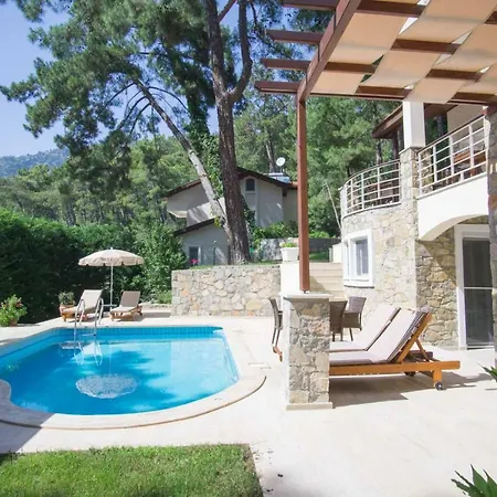 Huge In Red Pine Forest Villa
