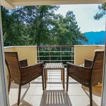 Huge In Red Pine Forest Villa *