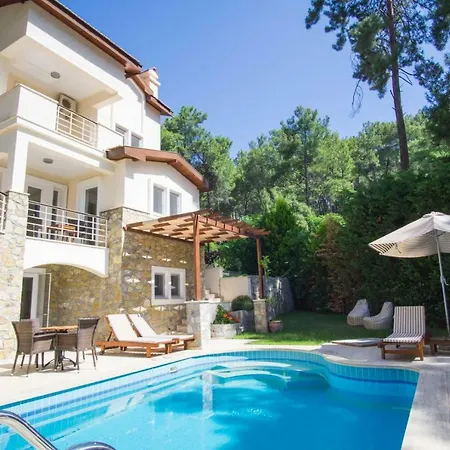 Villa Huge In Red Pine Forest Dalaman