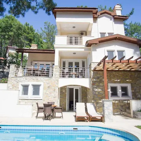 Villa Huge In Red Pine Forest Dalaman