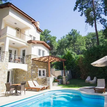 Villa Huge In Red Pine Forest *