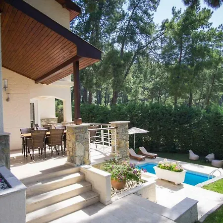 Huge In Red Pine Forest Villa