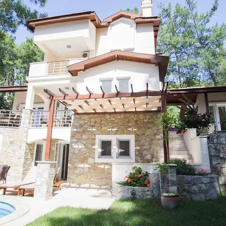 Villa Huge In Red Pine Forest *